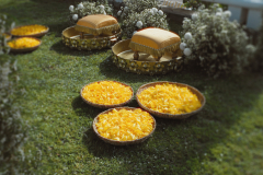 Still-2025-10-03-174254_6.1.1