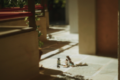 Still-2025-10-03-171954_1.18.1