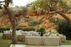 Still-2025-10-03-171954_1.46.1